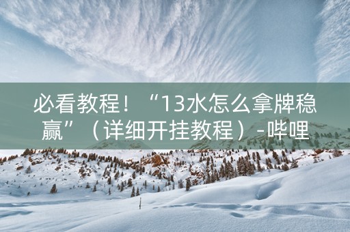 必看教程！“13水怎么拿牌稳赢”（详细开挂教程）-哔哩哔哩
