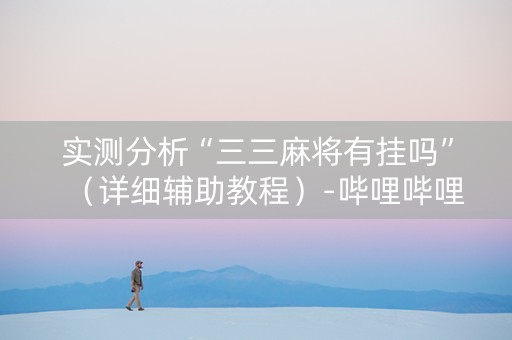 实测分析“三三麻将有挂吗”（详细辅助教程）-哔哩哔哩