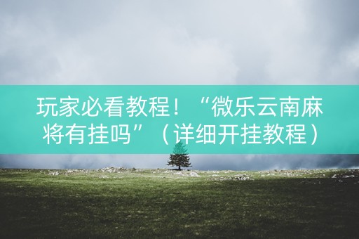 玩家必看教程！“微乐云南麻将有挂吗”（详细开挂教程）-哔哩哔哩