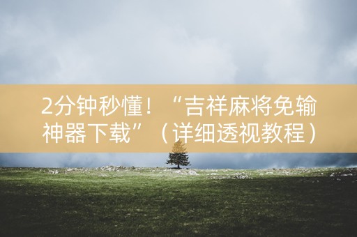 2分钟秒懂！“吉祥麻将免输神器下载”（详细透视教程）-哔哩哔哩