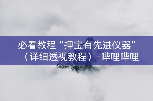 必看教程“押宝有先进仪器”（详细透视教程）-哔哩哔哩
