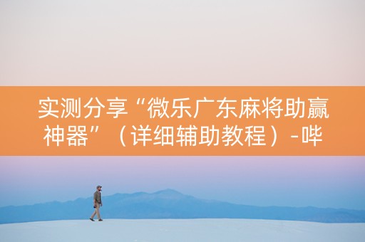 实测分享“微乐广东麻将助赢神器”（详细辅助教程）-哔哩哔哩
