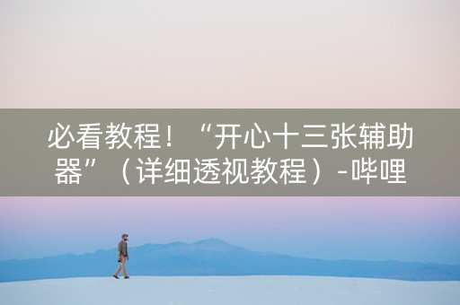 必看教程！“开心十三张辅助器”（详细透视教程）-哔哩哔哩