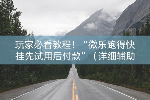 玩家必看教程！“微乐跑得快挂先试用后付款”（详细辅助教程）-哔哩哔哩