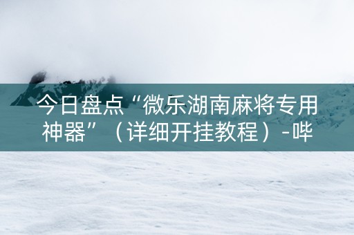 今日盘点“微乐湖南麻将专用神器”（详细开挂教程）-哔哩哔哩