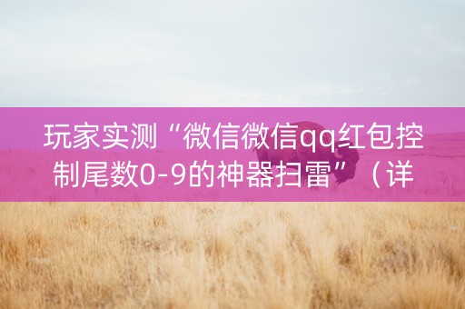 玩家实测“微信微信qq红包控制尾数0-9的神器扫雷”（详细透视教程）-哔哩哔哩