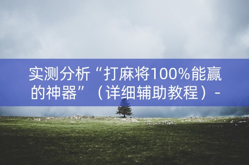 实测分析“打麻将100%能赢的神器”（详细辅助教程）-哔哩哔哩