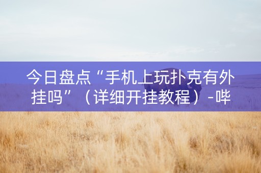 今日盘点“手机上玩扑克有外挂吗”（详细开挂教程）-哔哩哔哩