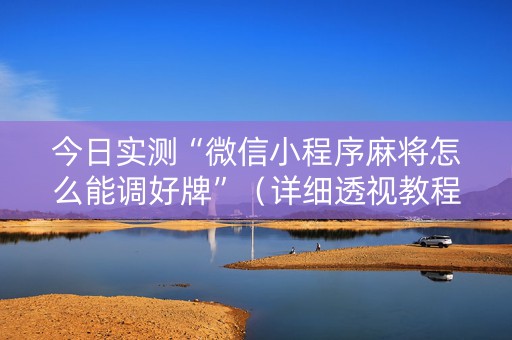 今日实测“微信小程序麻将怎么能调好牌”（详细透视教程）-哔哩哔哩