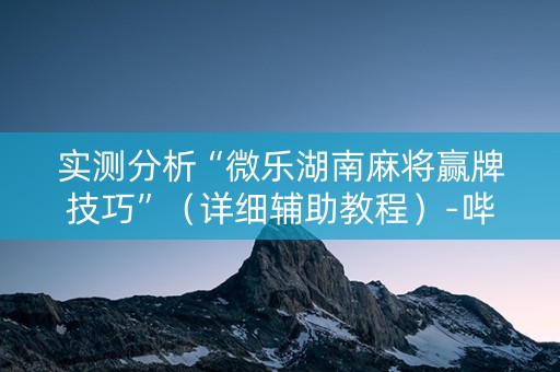 实测分析“微乐湖南麻将赢牌技巧”（详细辅助教程）-哔哩哔哩