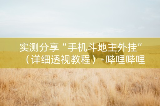 实测分享“手机斗地主外挂”（详细透视教程）-哔哩哔哩