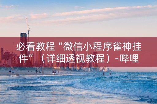 必看教程“微信小程序雀神挂件”（详细透视教程）-哔哩哔哩