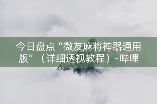 今日盘点“微友麻将神器通用版”（详细透视教程）-哔哩哔哩