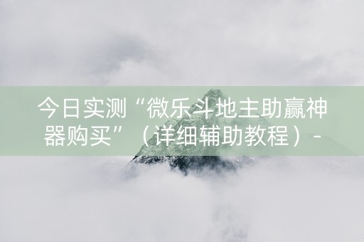 今日实测“微乐斗地主助赢神器购买”（详细辅助教程）-哔哩哔哩