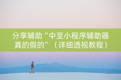 分享辅助“中至小程序辅助器真的假的”（详细透视教程）-哔哩哔哩