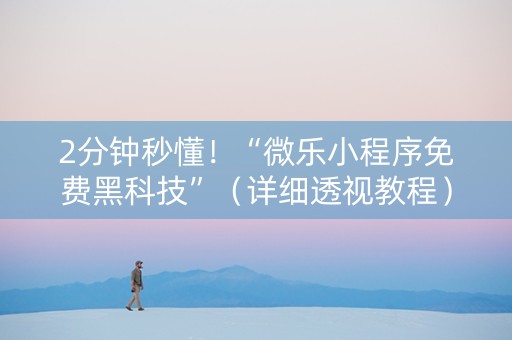 2分钟秒懂！“微乐小程序免费黑科技”（详细透视教程）-哔哩哔哩
