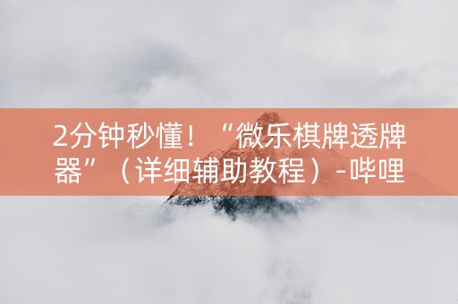 2分钟秒懂！“微乐棋牌透牌器”（详细辅助教程）-哔哩哔哩