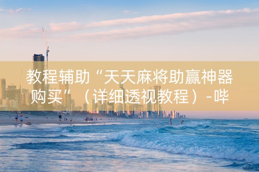 教程辅助“天天麻将助赢神器购买”（详细透视教程）-哔哩哔哩