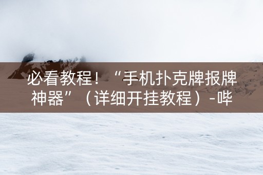 必看教程！“手机扑克牌报牌神器”（详细开挂教程）-哔哩哔哩