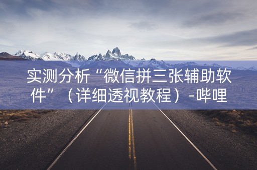 实测分析“微信拼三张辅助软件”（详细透视教程）-哔哩哔哩