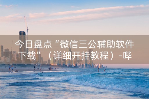 今日盘点“微信三公辅助软件下载”（详细开挂教程）-哔哩哔哩