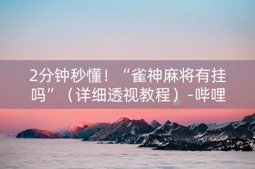 2分钟秒懂！“雀神麻将有挂吗”（详细透视教程）-哔哩哔哩