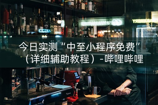 今日实测“中至小程序免费”（详细辅助教程）-哔哩哔哩