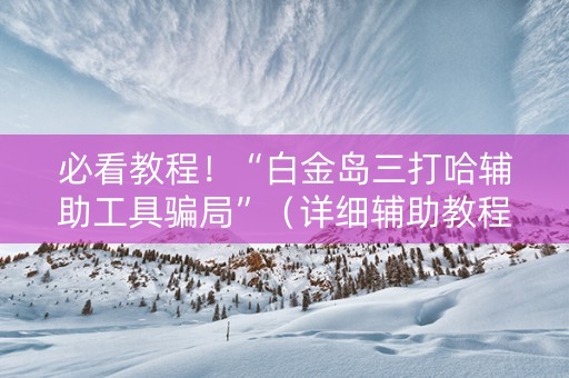 必看教程！“白金岛三打哈辅助工具骗局”（详细辅助教程）-哔哩哔哩