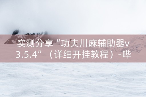 实测分享“功夫川麻辅助器v3.5.4”（详细开挂教程）-哔哩哔哩