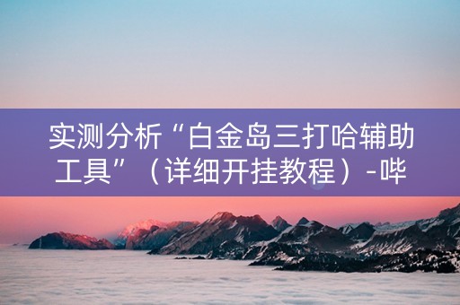 实测分析“白金岛三打哈辅助工具”（详细开挂教程）-哔哩哔哩