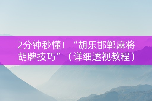 2分钟秒懂！“胡乐邯郸麻将胡牌技巧”（详细透视教程）-哔哩哔哩