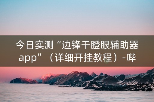 今日实测“边锋干瞪眼辅助器app”（详细开挂教程）-哔哩哔哩