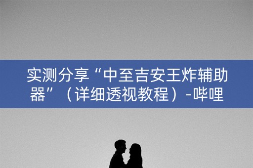 实测分享“中至吉安王炸辅助器”（详细透视教程）-哔哩哔哩