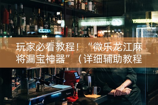 玩家必看教程！“微乐龙江麻将漏宝神器”（详细辅助教程）-哔哩哔哩