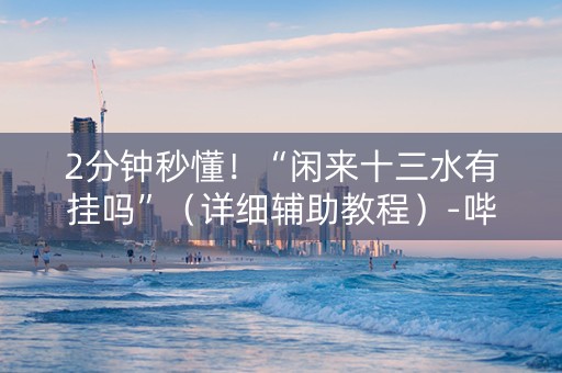 2分钟秒懂！“闲来十三水有挂吗”（详细辅助教程）-哔哩哔哩