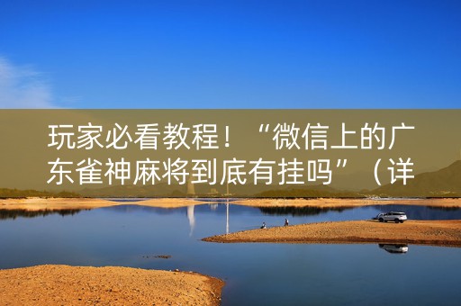 玩家必看教程！“微信上的广东雀神麻将到底有挂吗”（详细透视教程）-哔哩哔哩