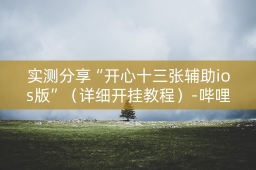实测分享“开心十三张辅助ios版”（详细开挂教程）-哔哩哔哩