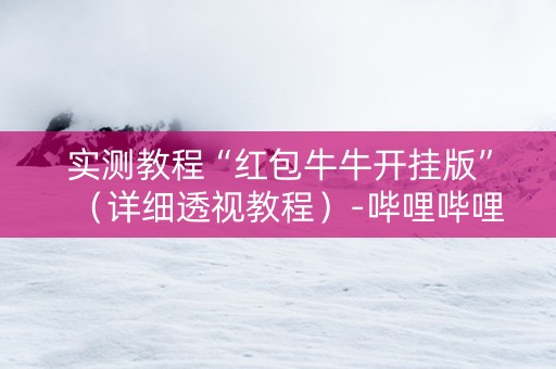 实测教程“红包牛牛开挂版”（详细透视教程）-哔哩哔哩