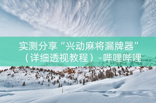实测分享“兴动麻将漏牌器”（详细透视教程）-哔哩哔哩