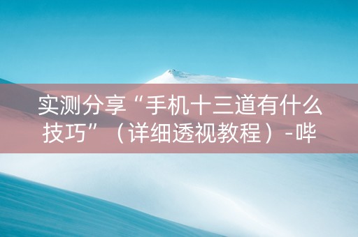 实测分享“手机十三道有什么技巧”（详细透视教程）-哔哩哔哩