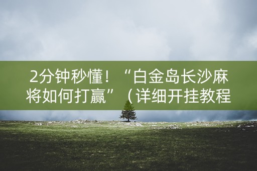 2分钟秒懂！“白金岛长沙麻将如何打赢”（详细开挂教程）-哔哩哔哩
