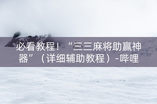 必看教程！“三三麻将助赢神器”（详细辅助教程）-哔哩哔哩