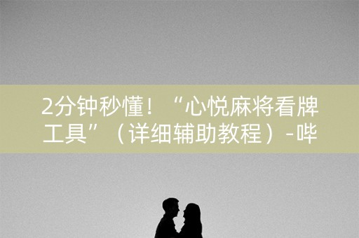 2分钟秒懂！“心悦麻将看牌工具”（详细辅助教程）-哔哩哔哩