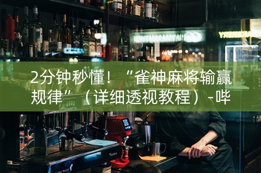 2分钟秒懂！“雀神麻将输赢规律”（详细透视教程）-哔哩哔哩