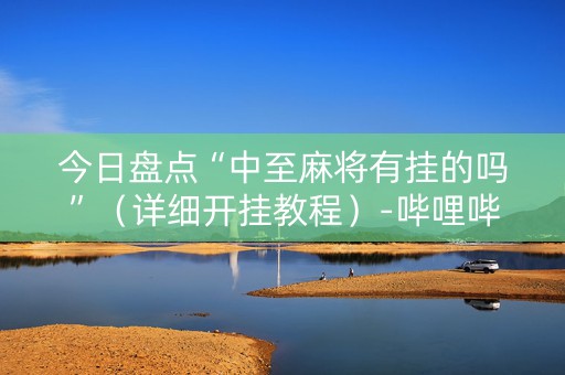 今日盘点“中至麻将有挂的吗”（详细开挂教程）-哔哩哔哩
