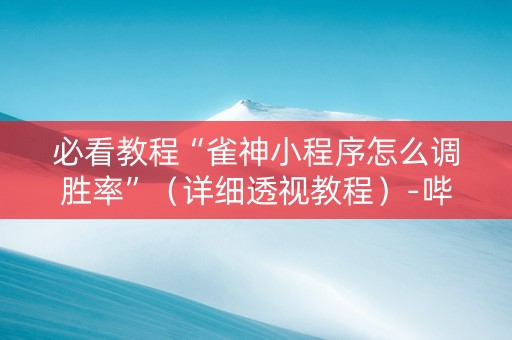 必看教程“雀神小程序怎么调胜率”（详细透视教程）-哔哩哔哩