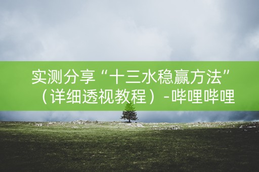 实测分享“十三水稳赢方法”（详细透视教程）-哔哩哔哩