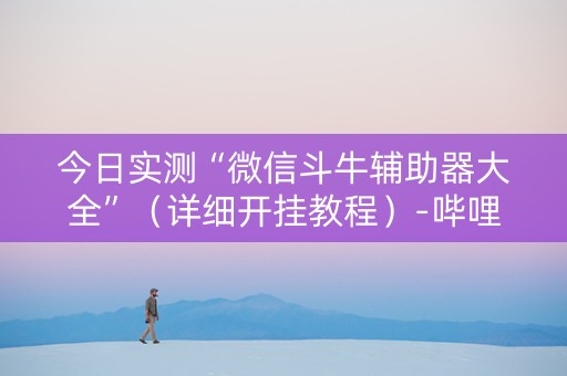 今日实测“微信斗牛辅助器大全”（详细开挂教程）-哔哩哔哩