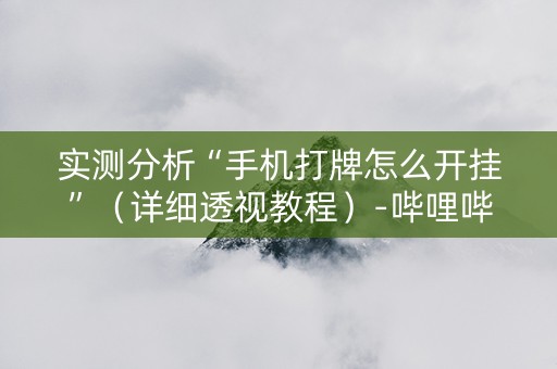 实测分析“手机打牌怎么开挂”（详细透视教程）-哔哩哔哩