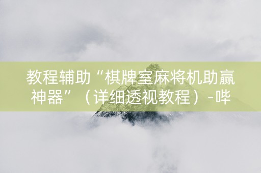 教程辅助“棋牌室麻将机助赢神器”（详细透视教程）-哔哩哔哩